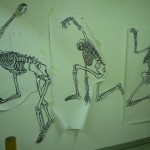 Skeleton drawings