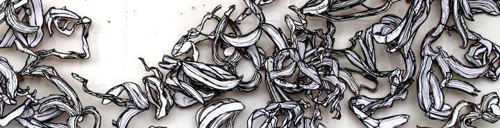 Banana skin drawings