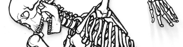 Human skeleton drawings